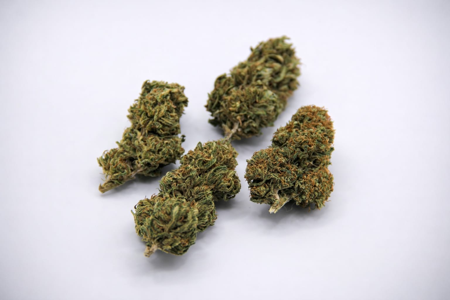 Pack Découverte 10g