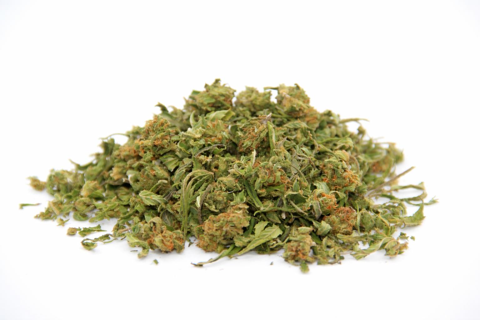 Timme full Spectrom – Image 2